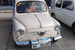 WhatsApp-Image-2025-05-12-at-11.32.52