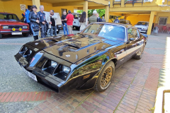 WhatsApp-Image-2025-03-30-at-17.09.23-2