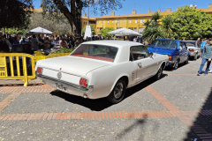 WhatsApp-Image-2025-03-30-at-17.09.30