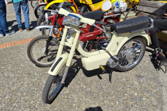 WhatsApp-Image-2025-03-30-at-17.09.36-2