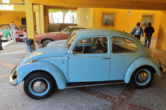 WhatsApp-Image-2025-03-30-at-17.09.36