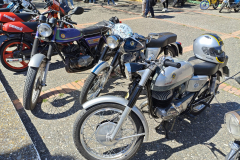 WhatsApp-Image-2025-03-30-at-17.09.38-1