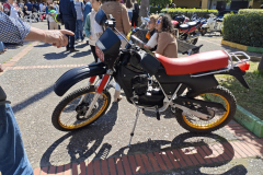 WhatsApp-Image-2025-03-30-at-17.09.40-2