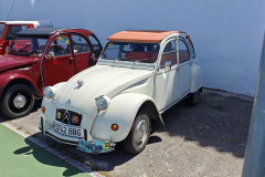 WhatsApp-Image-2025-05-10-at-16.15.44-1