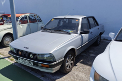 WhatsApp-Image-2025-05-10-at-16.15.44-2