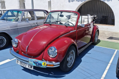 WhatsApp-Image-2025-05-10-at-16.15.48