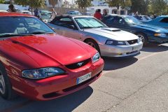 WhatsApp-Image-2025-09-14-at-17.34.53