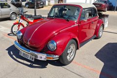 WhatsApp-Image-2025-09-14-at-17.41.07-1