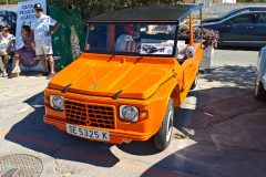 WhatsApp-Image-2025-09-14-at-17.41.11