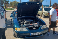 WhatsApp-Image-2024-09-29-at-19.48.00-3