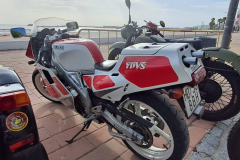 WhatsApp-Image-2024-11-17-at-17.44.47