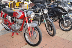 WhatsApp-Image-2024-11-17-at-17.44.52