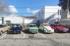 WhatsApp-Image-2025-03-01-at-18.53.34