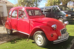 WhatsApp-Image-2025-03-01-at-18.53.46