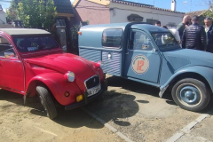 WhatsApp-Image-2025-03-01-at-18.53.50-1