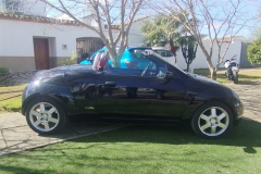 WhatsApp-Image-2025-03-01-at-18.53.50-2