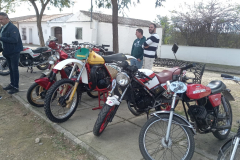 WhatsApp-Image-2025-03-01-at-23.52.10