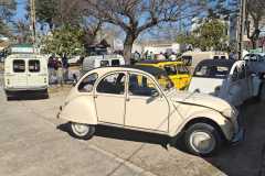 WhatsApp-Image-2026-03-01-at-09.00.55