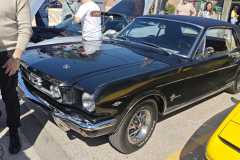 WhatsApp-Image-2026-03-01-at-09.02.43-1